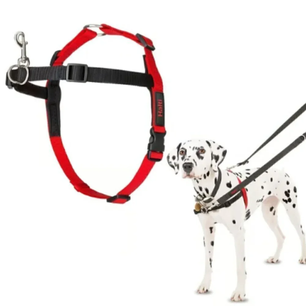 Halti control dog